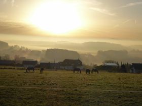 HP_Panorama (1).jpg